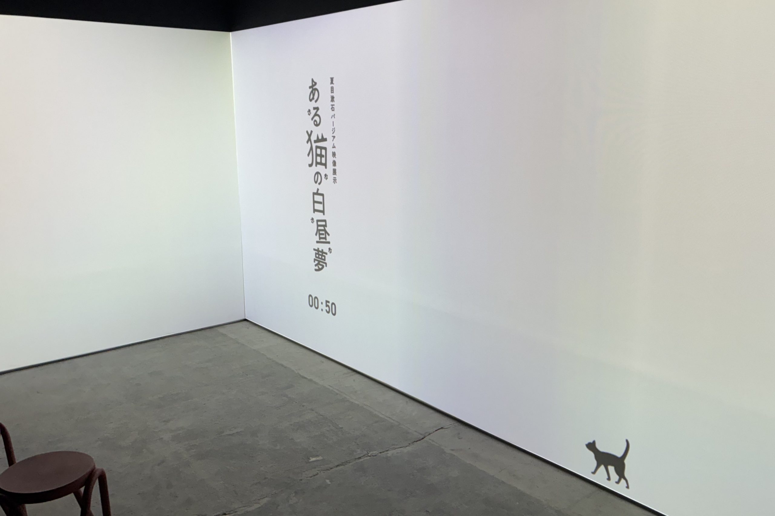 オリジナル映像展示「ある猫の白昼夢」